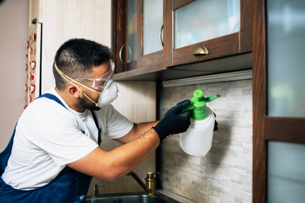 Best Flea Control Services  in Harvard, NE