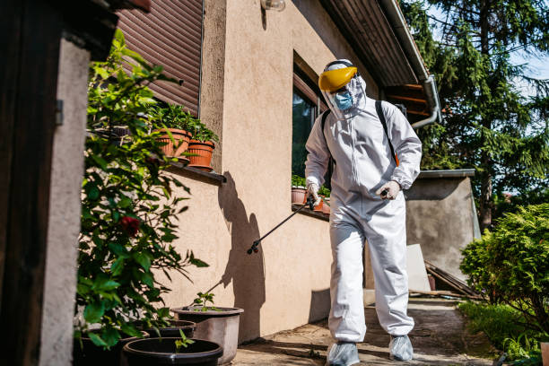 Best Cockroach Control Services  in Harvard, NE