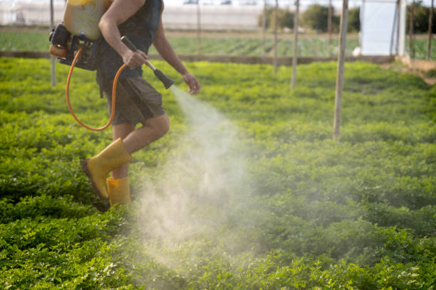 Best Ant Control Services  in Harvard, NE