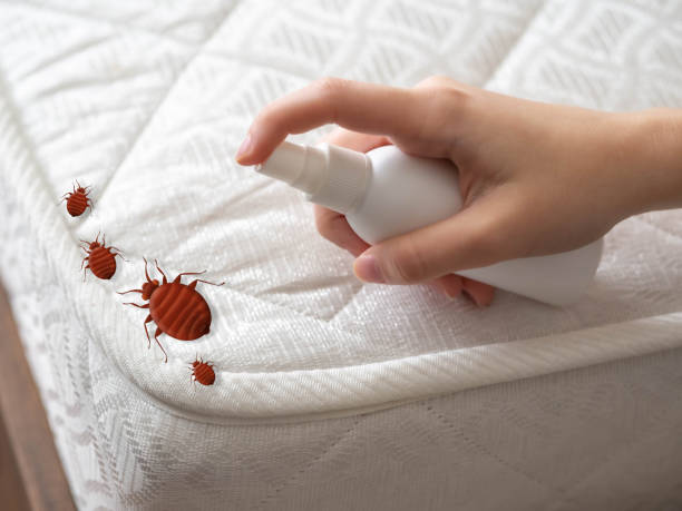 Best Bed Bug Extermination  in Harvard, NE